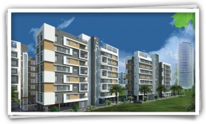 Rishi Ecoview